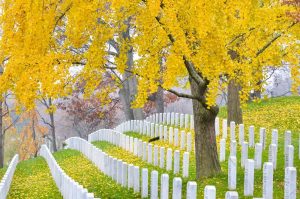 Mùa thu tại nghĩa trang Nghĩa trang Arlington National